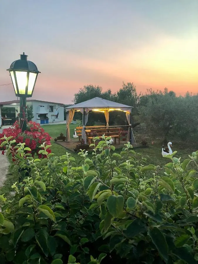 Caryatis Ntoridis Studios & Apartments In Afitos  Afytos
